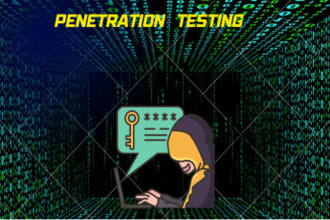 perform penetration testing on your web application