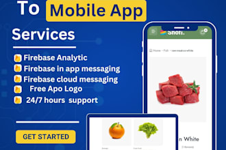 convert  your website into android app