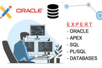 oracle apex installation and customize applications