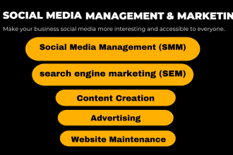 expert digital marketing manager to grow your business