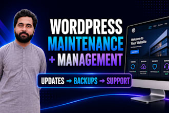 maintain, manage and update your wordpress website