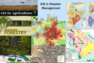 do gis data processing and create maps