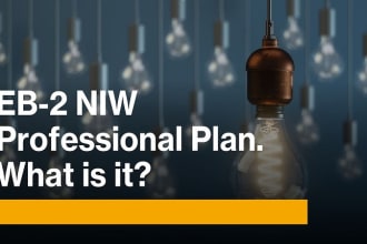 write professional plan for eb2 niw petition