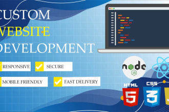 be your web developer HTML CSS js react next stripe node js