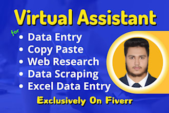 do freelance data entry work, web research, copy paste and excel data entry job