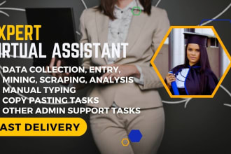 professionally execute your virtual assistant tasks