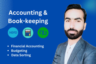 do bookkeeping and audit in quickbooks, xero, or excel