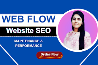 do professional webflow SEO and monthly website maintenance services