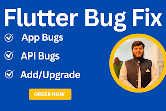 fix flutter app bug, mobile app bug fix, flutter bug fix, new year, holiday