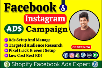 setup facebook ads campaign, run shopify ads, fb ads and instagram ads