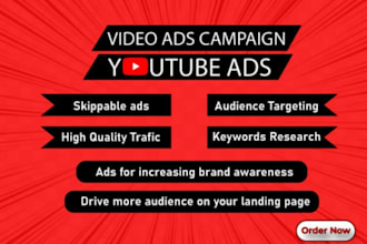 set up best youtube ads and google ads campaign
