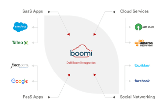 provide integration services using dell boomi integration, API, edi, flow, mdh