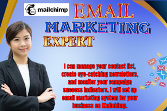do the best email marketing campaign on mailchimp for your targeted audience
