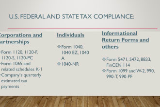 prepare US federal tax returns