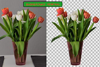 do background remove, image editing, cut out image