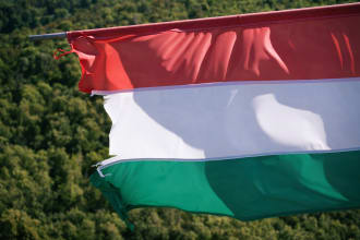 teach you general hungarian online