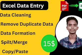 do excel data cleaning and convert pdf to ms excel or word