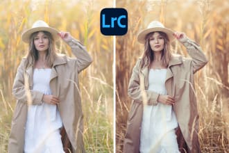 do bulk photo editing family, travel, wedding in lightroom