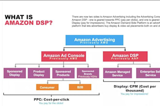 set up and launch amazon dsp advertising campaigns