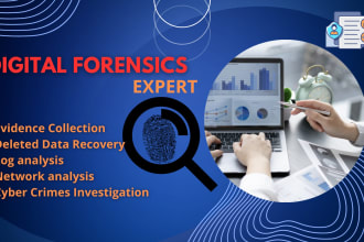 do top level digital forensics, log analysis, cybercrime investigation