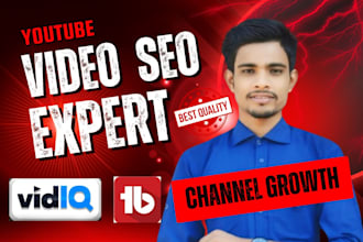optimize the your you tube video SEO channel growth