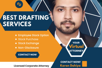 expertly draft your esops and stock purchase agreement