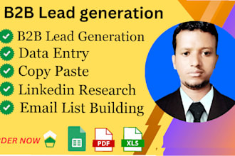 provide data entry, b2b lead generation