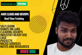 provide AWS cloud and devops training