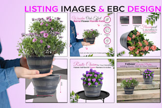 design amazon picture shopify ebay etsy wlamart  product listing images design