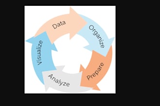 data analysis, biostatistics and health informatics research and report writing