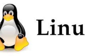 make linux server project or troubleshoot issues