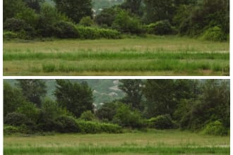 background removal, make white or transparent bg