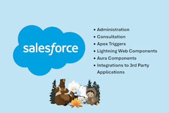 be your personal CRM consultant, developer and administrator