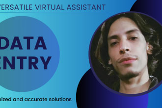provide efficient data entry and web research assistance