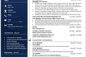 offer professional resume writing service