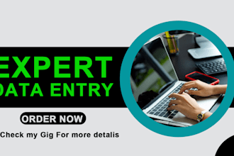 expert data entry operator