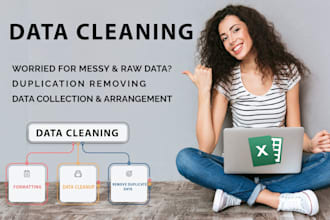 iwill do excel data cleaning , formatting, data clean up