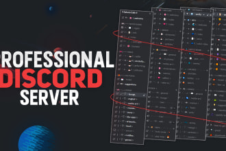setup custom discord server for you in 24 hours