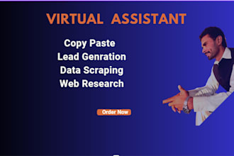 data entry,copy paste,lead generation,data scraping and email hunting