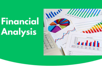 do a financial analysis