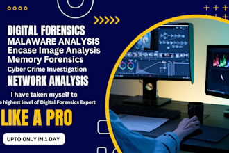 do digital forensics, malware, cybercrime investigation