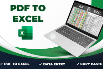 convert pdf to excel, data entry, typing and copy paste