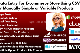 data entry to your ecommerce store product listing CSV file manually