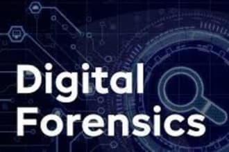 offer services on cybersecurity and digital forensics