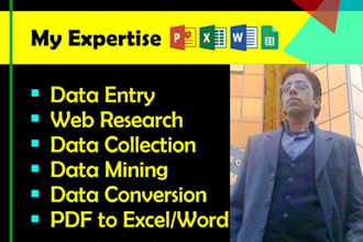 be your virtual assistant for data entry, typing and copy paste