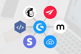 provide shopware 6 support, bug fixes, store setup and update