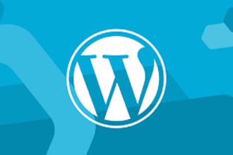 make a website on wordpress