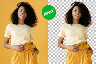 professionally cut out 100 images and perform background removal