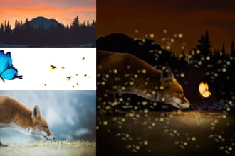 do photo manipulation photoshop editing and image retouching