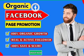 do organic facebook page promotion and marketing for very fast growth